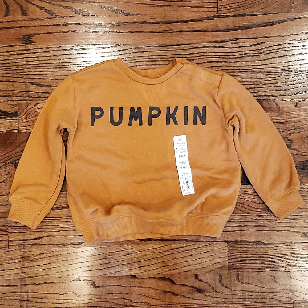 Little Co by Lauren Conrad PUMPKIN Sweatshirt Size 24 Months 2T